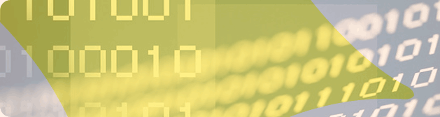 Custom Software Development & Testing
