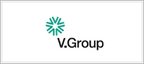 V Group